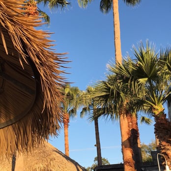 Hula Hut - Tex-Mex Near Me - Austin, Texas Hula Hut - Tex-Mex Near Me - Austin, Texas