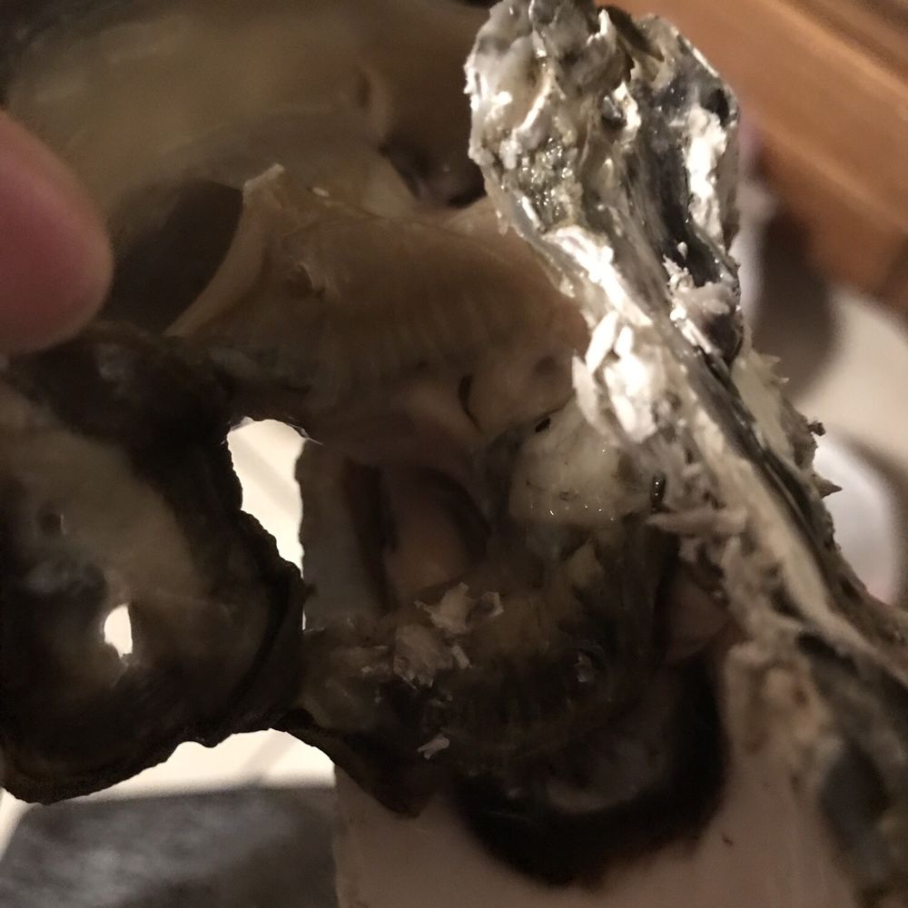 Lytle Seafoods Oyster Shack - Seafood Markets Near Me - Hoquiam, Washington