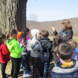 Tanglewood Nature Center - Naturalists and educators lead programs for all ages and abilities. Field trips are popular students learn from animal presentation & hike.