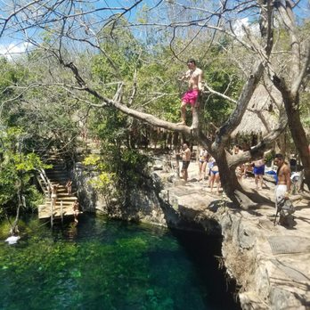 Cenote Jardín del Edén - Free Diving Near Me - Playa del Carmen, ROO