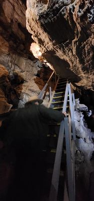 Oregon Caves National Monument & Preserve by null