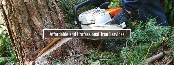 J & L Tree Service