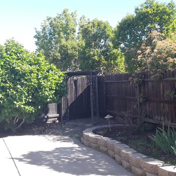 Matthews Yard Services - Left Side of Back Patio - Lawn Services Near Me Matthews Yard Services - Left Side of Back Patio - Lawn Services Near Me