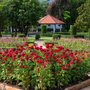 Photo of Daniel's Master Landscaping