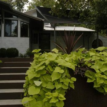 Folklore Botanical - Modern Corten Steel Planter with Annual Flowers - Gardeners Near Me Folklore Botanical - Modern Corten Steel Planter with Annual Flowers - Gardeners Near Me