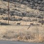 Photo of Lower Klamath National Wildlife Refuge