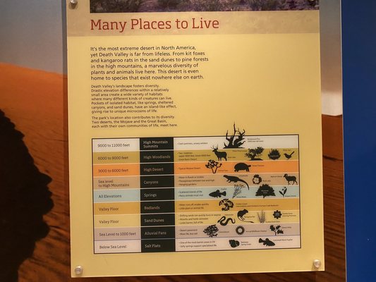 Furnace Creek Visitor Center by null