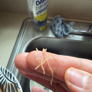 Mountain Mike's Pizza - I'm so annoyed I found this in the pizza, not even on top it was in the mixed. - Pizza Near Me - Roseburg, Oregon Mountain Mike's Pizza - I'm so annoyed I found this in the pizza, not even on top it was in the mixed. - Pizza Near Me - Roseburg, Oregon
