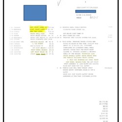 Auto Plaza St. Peters - Details of the safety issues