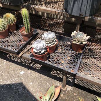 The Backyard - Nurseries & Gardening Near Me - Costa Mesa, California The Backyard - Nurseries & Gardening Near Me - Costa Mesa, California