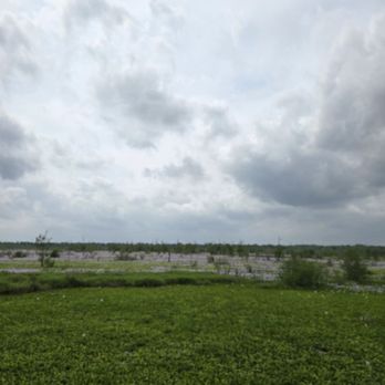 Brazos Bend State Park - Parks Near Me - Needville, Texas