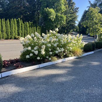 Queen Bee Cafe - Outside - Coffee & Tea Near Me - Clyde Hill, Washington