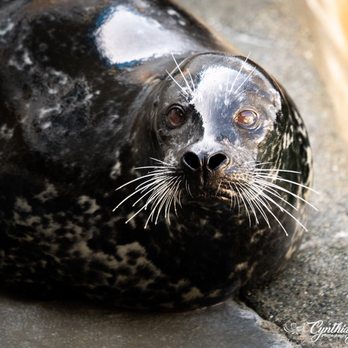 Ocean World - Aquariums Near Me - Crescent City, California