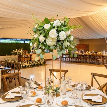 Lovely Peonies Floral Design - Florists Near Me Lovely Peonies Floral Design - Florists Near Me