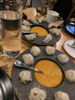 Himalayan wild yak by null