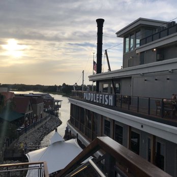 Paddlefish - roof top view - Seafood Near Me - Orlando, Florida