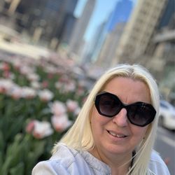 The Magnificent Mile - The Magnificent Mile