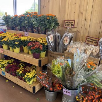 Trader Joe's - Grocery Near Me - Phoenix, Arizona Trader Joe's - Grocery Near Me - Phoenix, Arizona