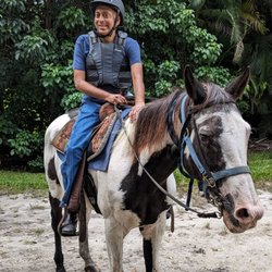A&A Adventure Horse Trail Rides