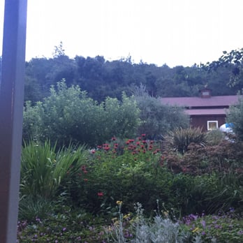 The Terraces - Lucious landscape - Wineries Near Me - Rutherford, California