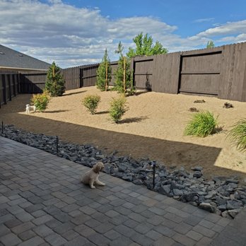 T&T Lawns Plus - Landscape area with beautiful pine trees - Landscaping Near Me - Sparks, Nevada T&T Lawns Plus - Landscape area with beautiful pine trees - Landscaping Near Me - Sparks, Nevada