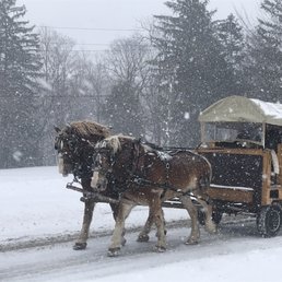 Horse drawn wagon rides during the Winter Festival Horse drawn wagon rides during the Winter Festival