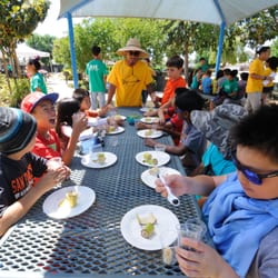 Milpitas Summer Day Camp