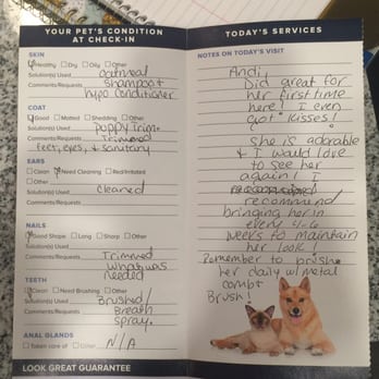 PetSmart - The Pawgress Report :) - Pet Stores Near Me - Jacksonville, Florida