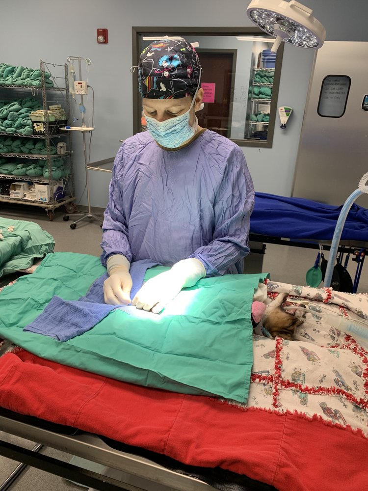 UCAN NONPROFIT SPAY & NEUTER CLINIC Updated July 2024 14 Photos