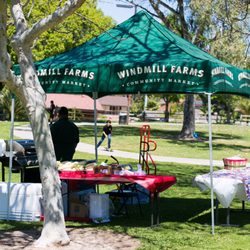 Del Cerro - San Diego - Annual Egg Hunt at Princess Del Cerro Park. Hosted by Carol Lusidia Morrow, Realtor CalBRE # 01463404 Windmill Farms, Corn on the Cob.