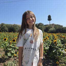 Beautiful sunflowers