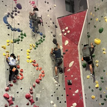 Vertical Ventures - Rock Climbing Near Me - St. Petersburg, Florida