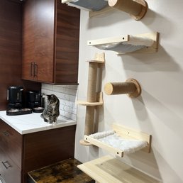 New pantry area... I installed that cat playground for our kitties New pantry area... I installed that cat playground for our kitties