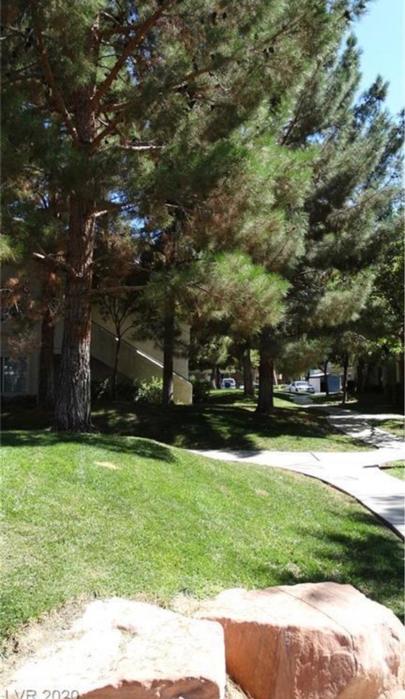 CANYON WILLOW HOME OWNERS ASSOCIATION Updated September 2024 12