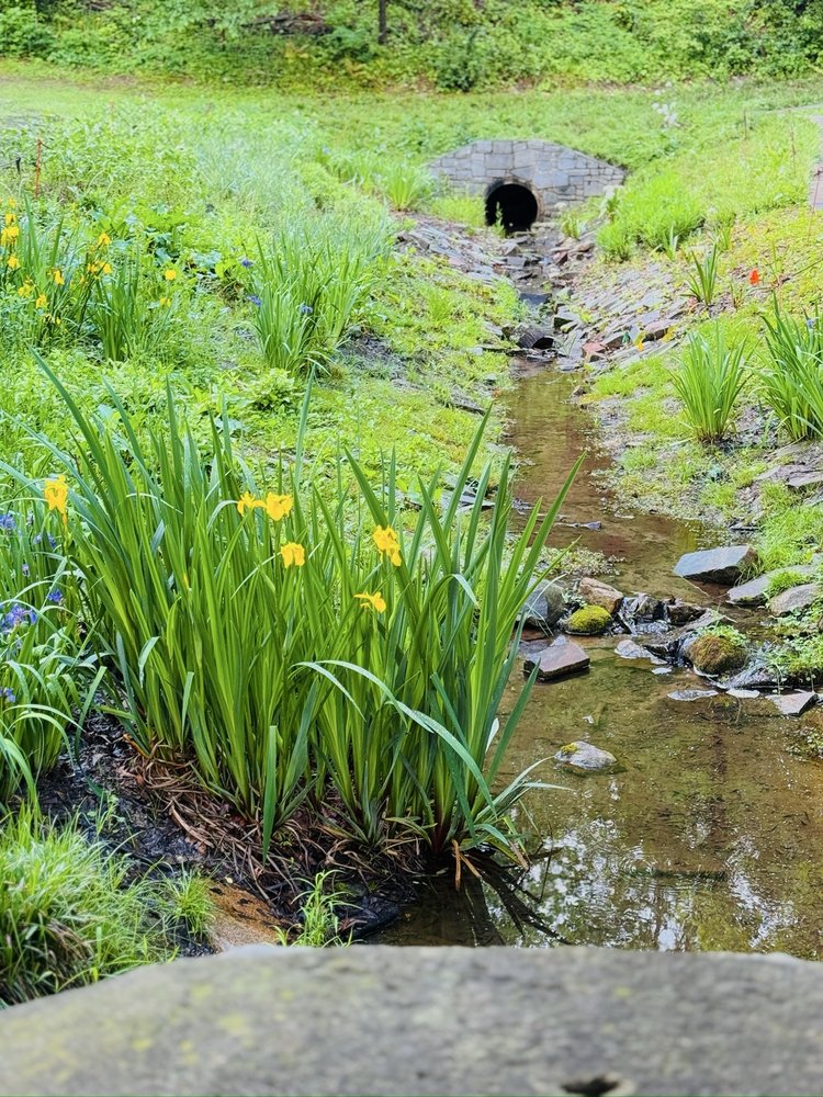 SPRINGVALE PARK - Updated January 2026 - 24 Photos - 922 Eulcid Ave ...