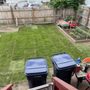Photo of CT SOD