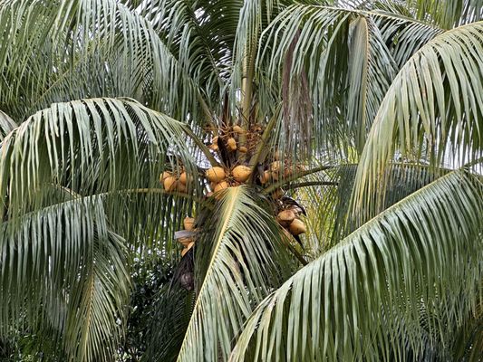 BOB ROTH’S NEW RIVER GROVES - Updated October 2024 - 516 Photos & 177 ...