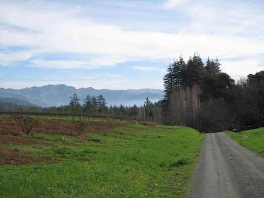 Storybook Mountain Winery by null