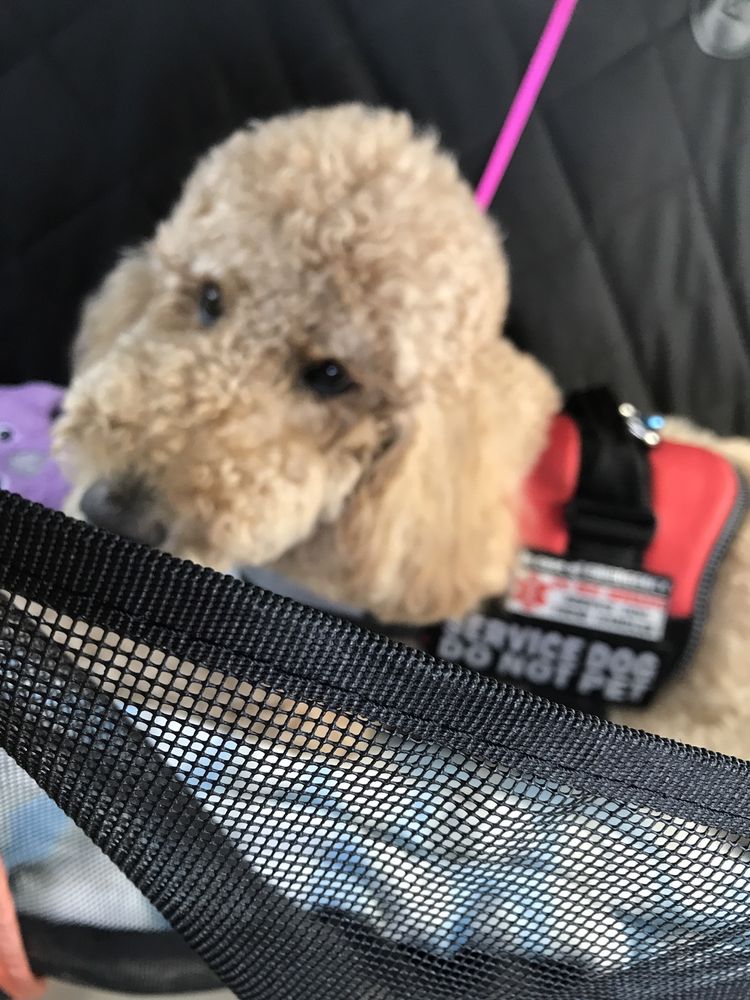 Live Oak Animal Hospital Image