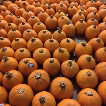 Pasadena Pumpkin Patch - Small $2 kiddie size! - Pumpkin Patches Near Me - Pasadena, California
