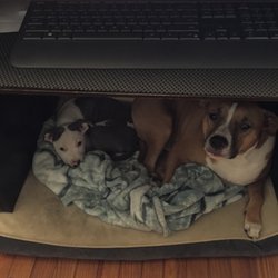 Office assistants