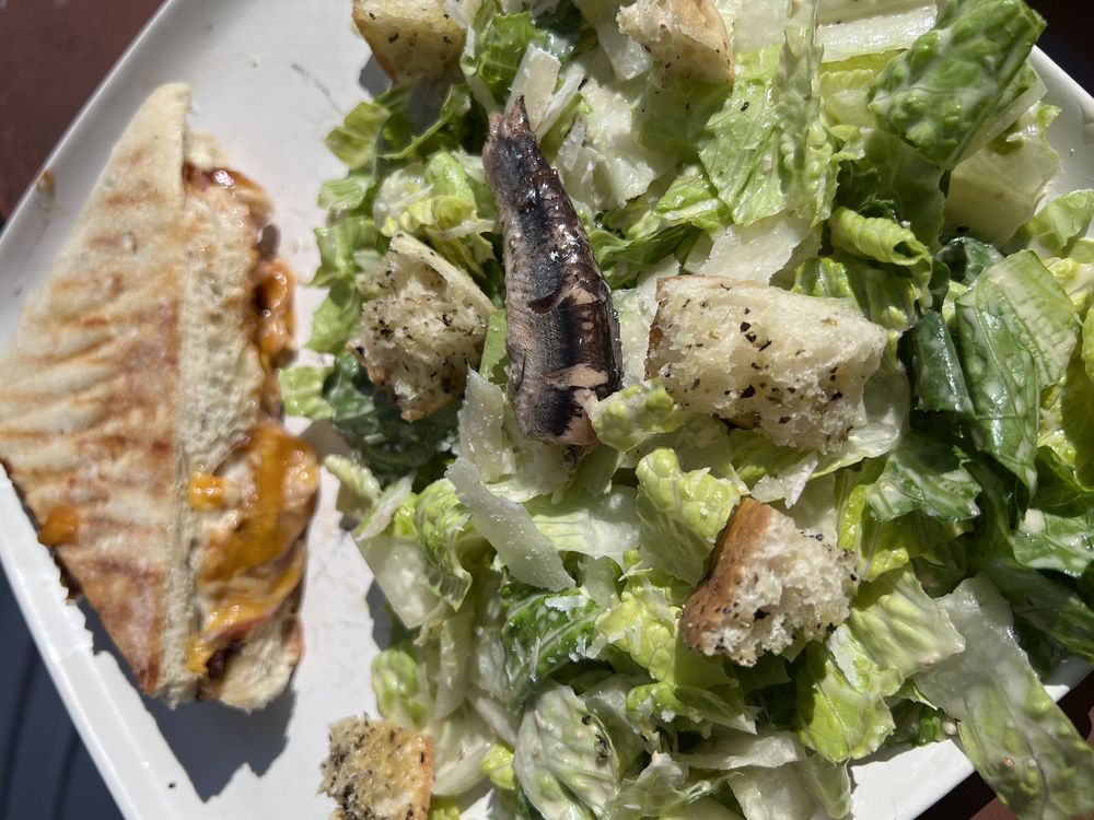 OAK DELI & BREWERY 12 Photos & 13 Reviews 1101 H St, Arcata