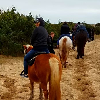 Equine Adventures - Horseback Riding Near Me - Buxton, North Carolina