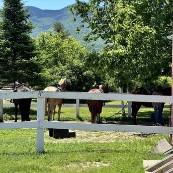 Franconia Notch Stables - Horseback Riding Near Me - Franconia, New Hampshire