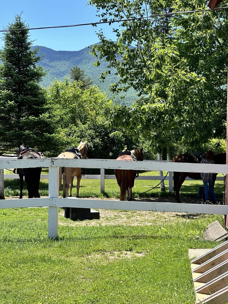 FRANCONIA NOTCH STABLES Updated August 2024 30 Photos & 22 Reviews