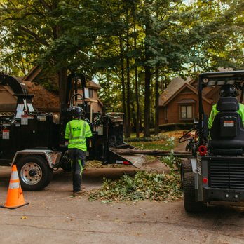 Momentum Tree Experts - Tree Services Near Me Momentum Tree Experts - Tree Services Near Me