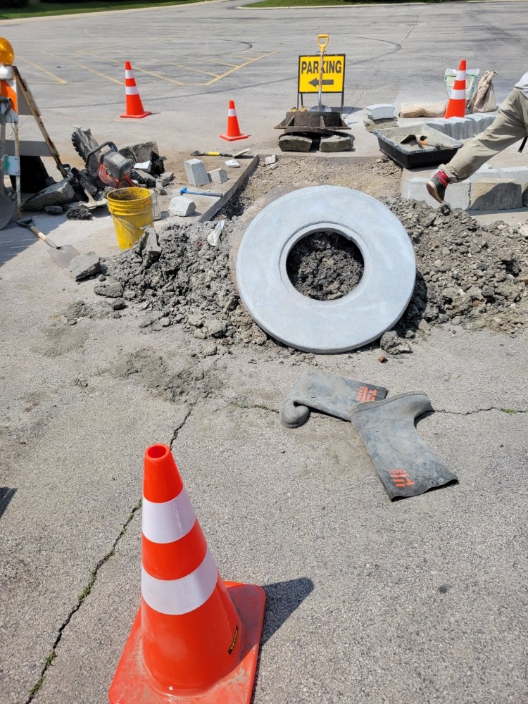 Micky's Citywide Service - tree service in Chicago, IL