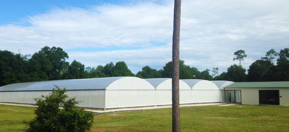 Eco-Myc - beekeeping in DeLand, FL