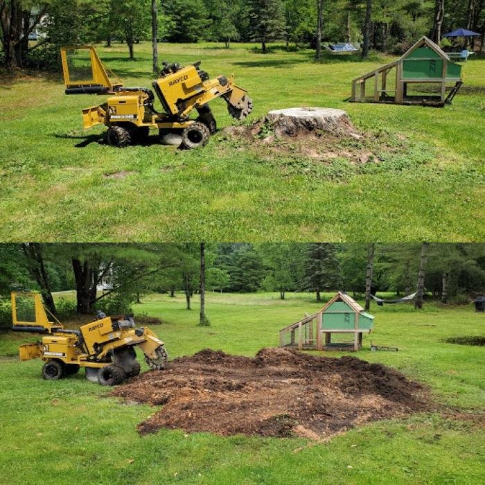 Cumberland Stump Removal - tree service in Gray, ME