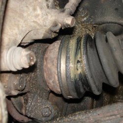 Best Choice Auto Market - Dangerous!